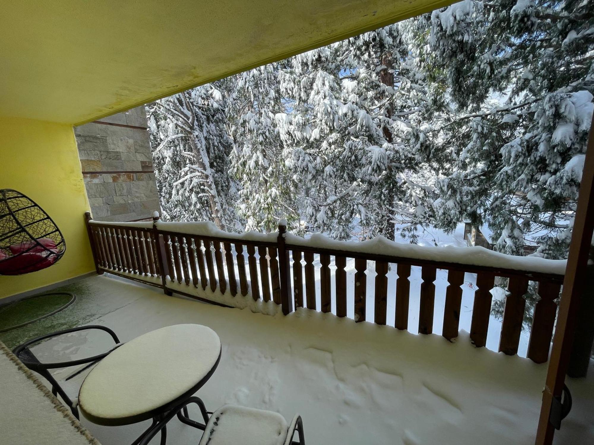 Luxury Apartament In "Sequoia" 2 Borowec Zewnętrze zdjęcie