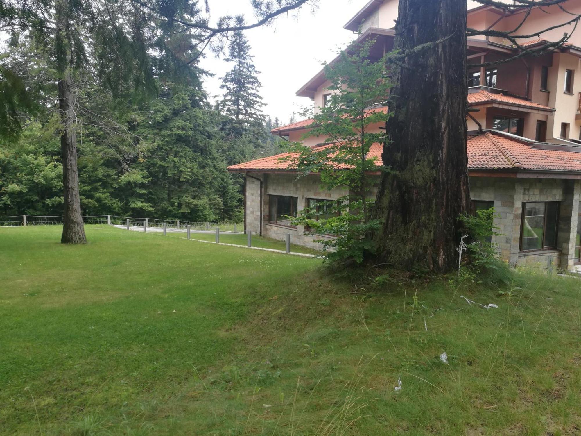 Luxury Apartament In "Sequoia" 2 Borowec Zewnętrze zdjęcie